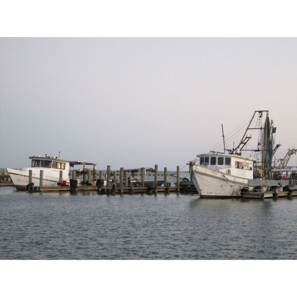 Canon PowerShot A1300 Digital Camera 16MP 5x Optical Zoom HD Video 8GB SD MINT - Picture 7 of 15